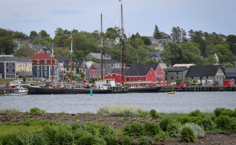 Colourful buildings sit along the waterfront.