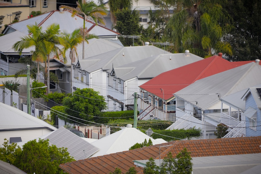 House rooftops in an inner Brisbane suburb.