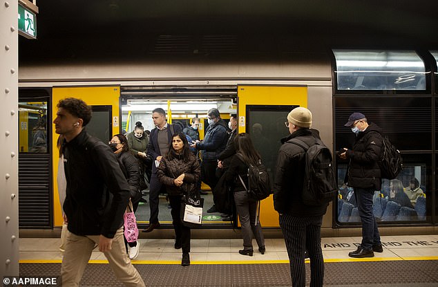 The house price increases have occurred as immigration levels hit a record-high of 518,000 during the last financial year, with the annual level only moderating to 481,620 in January (pictured is Sydney's Wynyard train station)