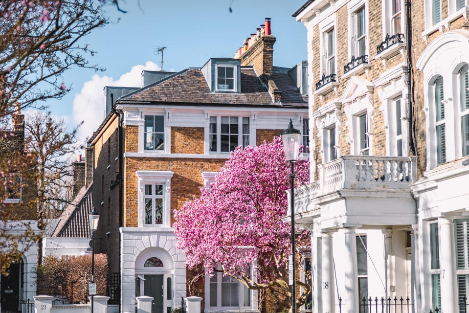 house prices Colorful spring season view of the heart of London, a mesmerizing sight unfolds as the branches of a tree adorned with pink magnolia blossoms sway against the backdrop of a quintessential English building in the streets of Notting Hill,  Chelsea and Kensington. This enchanting scene captures the essence of spring, where nature's grace meets the classic charm of London's architectural beauty in perfect harmony.