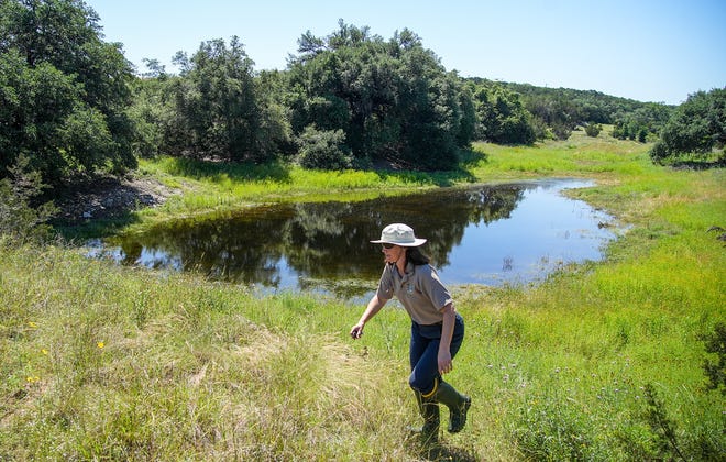 April Rose of Travis County Parks walks in the Castletop property. The land had been slated for 895 homes, but it will instead become part of Milton Reimers Ranch Park.